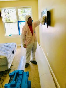 A Technician Conducting Full-Service Water Cleanup